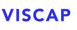 VISCAP Consultancy Services