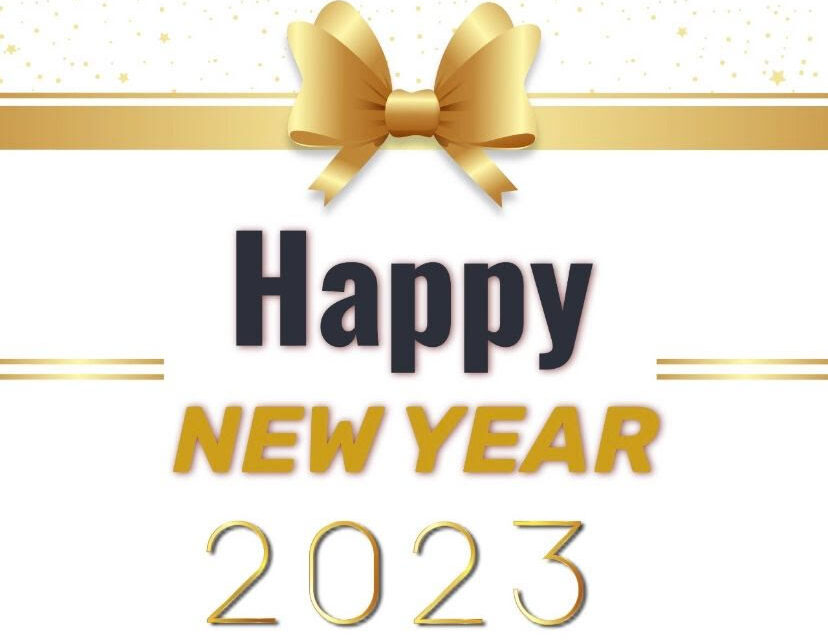 https://www.viscap-cs.com/wp-content/uploads/2023/01/newyear-828x640.jpg