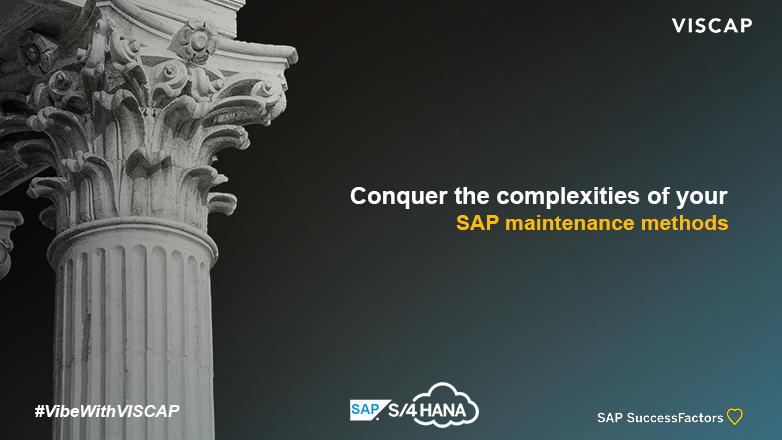 https://www.viscap-cs.com/wp-content/uploads/2024/02/Article-1SAP-AMS-1.png